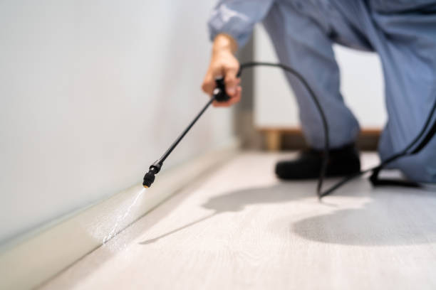 Licensed Mosquito Control service in Sitka City and Borough County, AK - Nex Pest Control