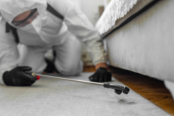 Professional Mosquito Control technician working in Sitka City and Borough County, AK